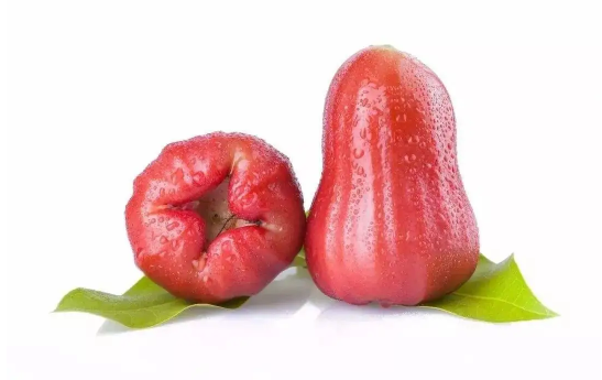 莲雾适合三高人吃吗