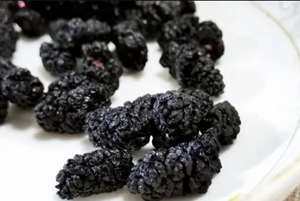 桑葚干放了两年还能不能吃