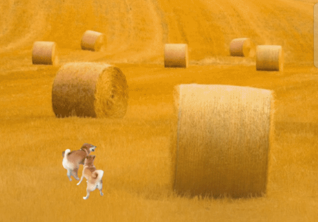 微信农场怎么设置怎么弄