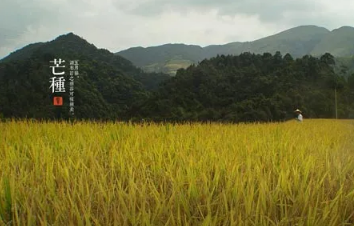 2022芒种后九天交运包括当天吗