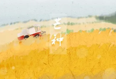 2022年芒种是几月几号几点几分
