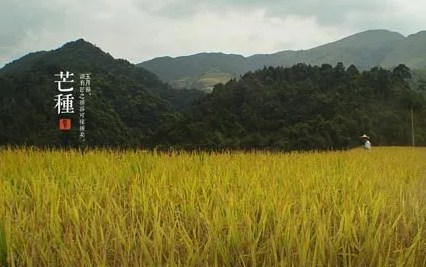 2022年芒种属于农历五月还是六月