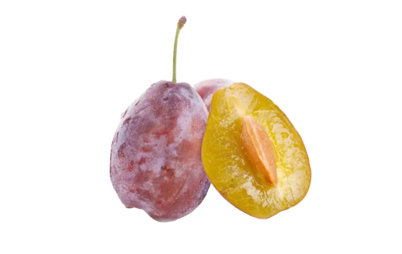 西梅和李子是一个味吗