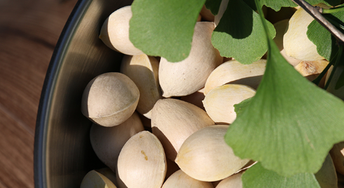 白果生吃和熟吃哪个功效大