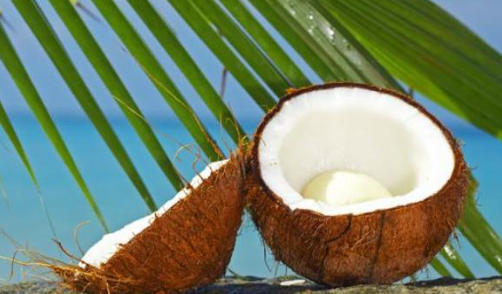 椰子用刀怎么切开