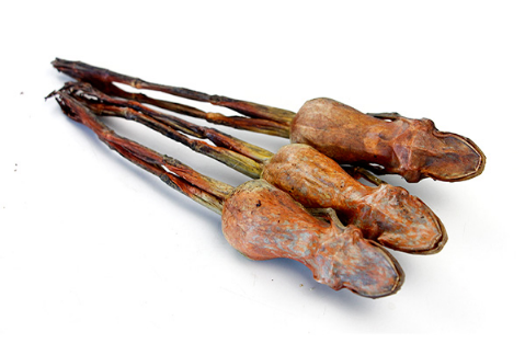 吃雪蛤能提高性功能吗