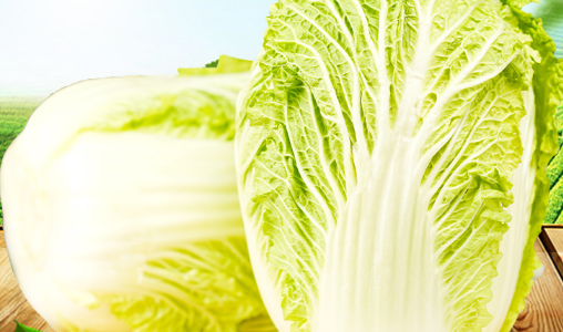 大白菜放冰箱保鲜一个月还能吃吗