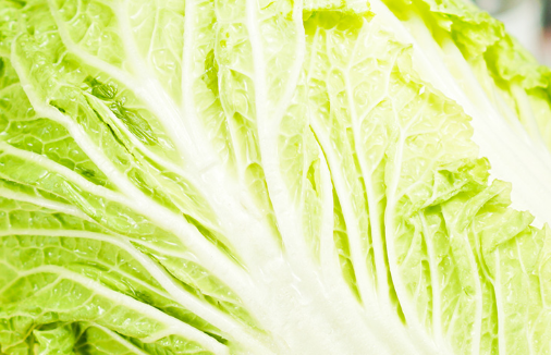 大白菜放冰箱保鲜一个月还能吃吗