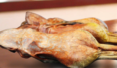 正宗的雪蛤多少钱一斤