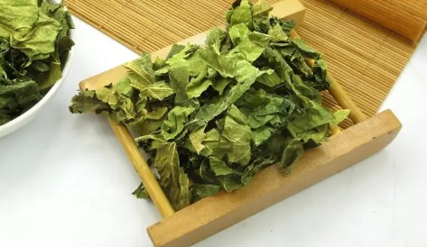 桑叶泡水喝有什么功效和作用