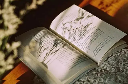 2022年幼升小读公立还是私立