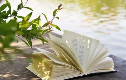 2022年幼升小读公立还是私立