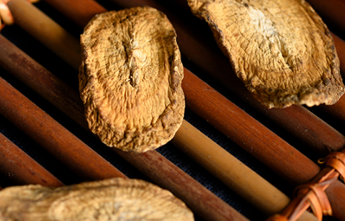 牛蒡茶可以排湿气吗