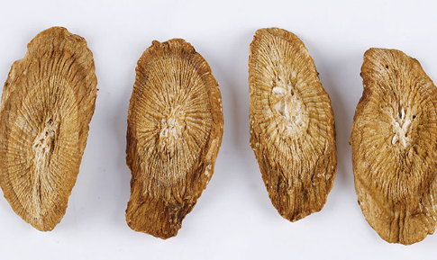 牛蒡茶可以排湿气吗