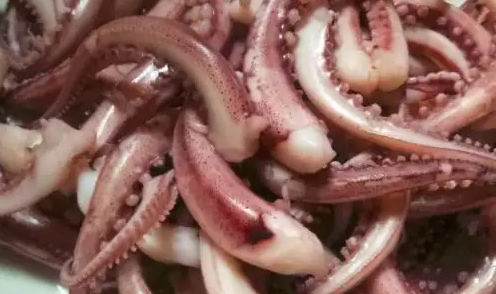 鱿鱼咬不动能吃吗