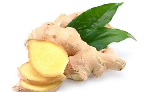 生姜上有白色的绒毛什么情况