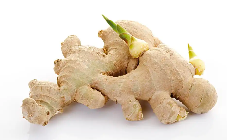 生姜上有白色的绒毛什么情况