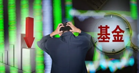 炒基金的女人聪明吗