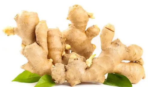 晚上喝生姜结果丧命了真的假的