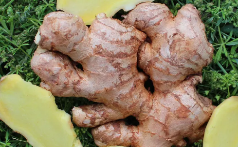 晚上喝生姜结果丧命了真的假的