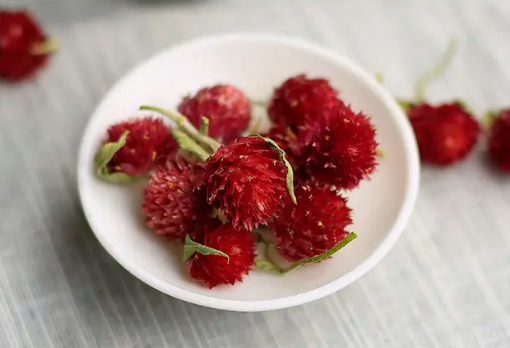 红乃梅和红巧梅是一样的吗