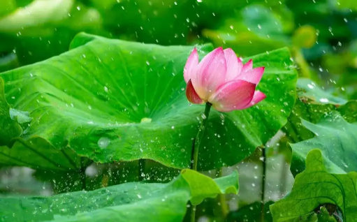 2022年6月有法定节假日吗