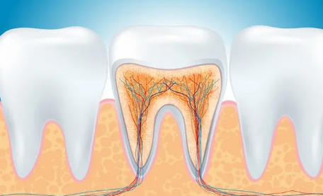 牙结石掉了牙龈空了牙龈会长吗
