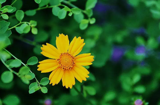 2022年6月有什么节日和纪念日