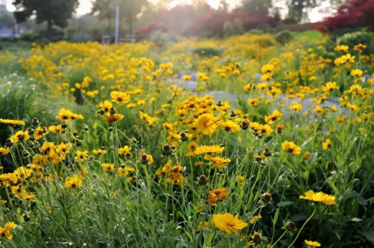 2022年6月有什么节日和纪念日