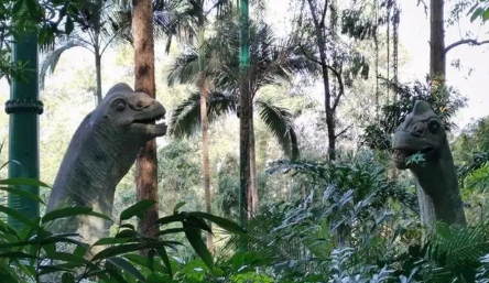 6月份去广州长隆动物园热吗