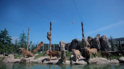 6月份去广州长隆动物园热吗