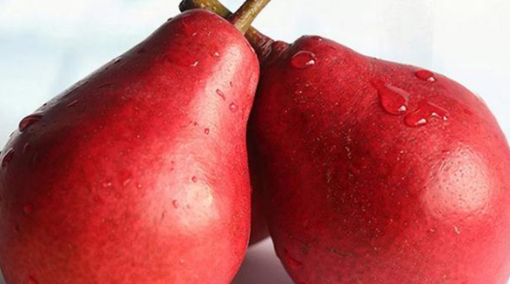 红啤梨多少钱一斤2022