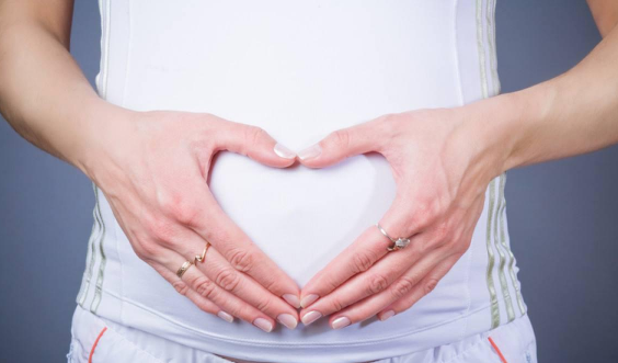 2023年兔宝宝忌讳几月出生