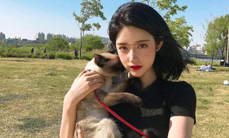 给头发做蛋白是怎么做
