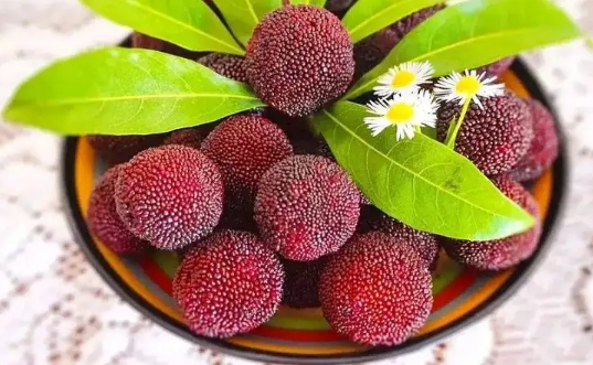 杨梅核是否能吃