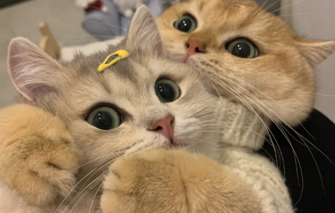 爹系男友适合什么样的女生