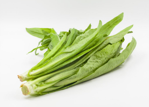 莴笋叶子能吃吗