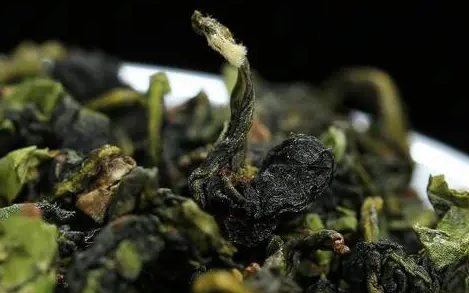 铁观音是红茶还是绿茶