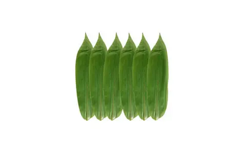 粽子叶是老的好还是嫩的好