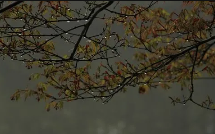 2022夏至下雨好还是天晴好