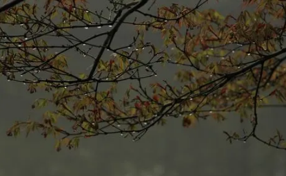 2022夏至下雨的话夏天会凉快吗