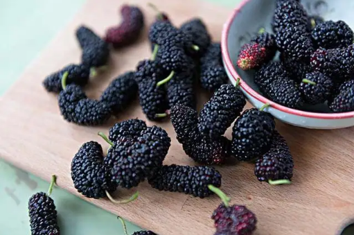 桑葚只用清水洗了能吃吗