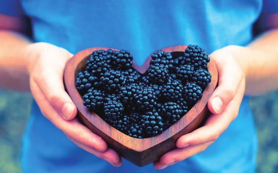 桑葚只用清水洗了能吃吗