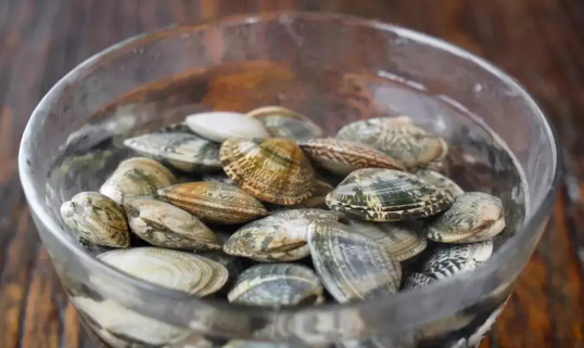 花蛤放了一夜吐舌头能吃吗