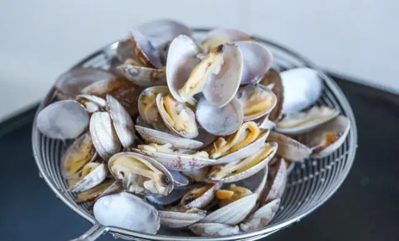 花蛤放自来水里能活12小时吗