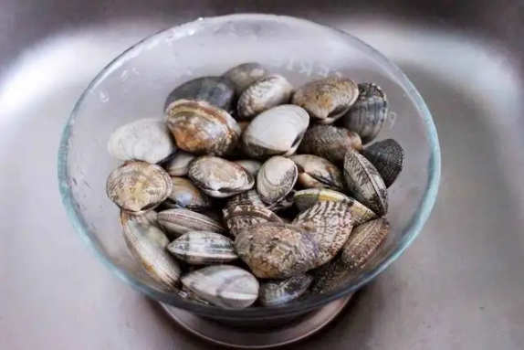 花蛤放自来水里能活12小时吗