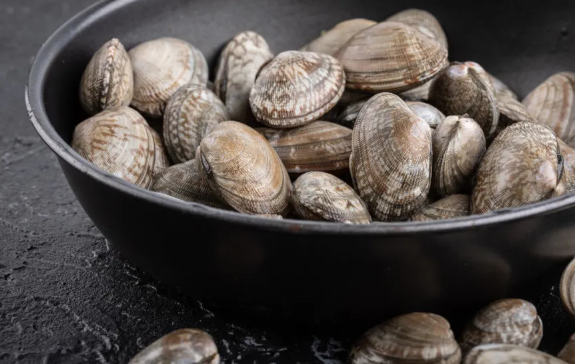 花蛤放自来水里能活12小时吗