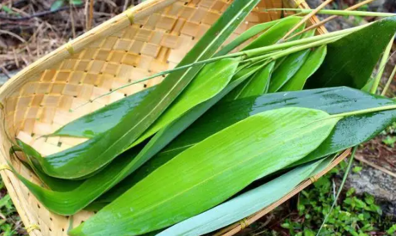 宽粽叶和窄粽叶哪个好