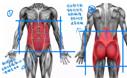 日常生活中需要收紧核心吗