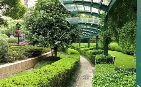 小区绿化带可以种花吗